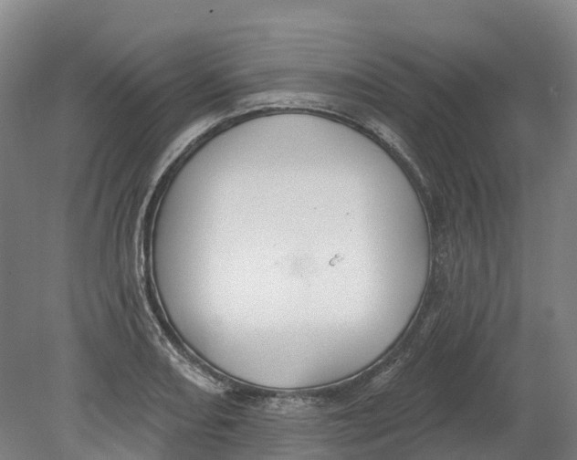 X0000080791082200701051347