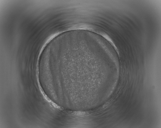 X0000080791088200701051347