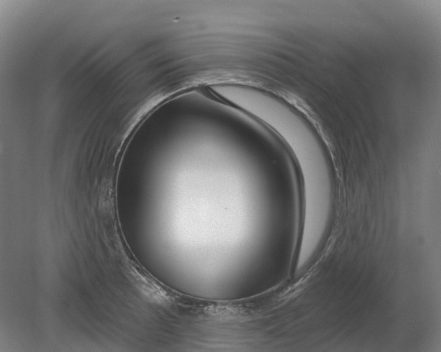 X0000080791089200701051347