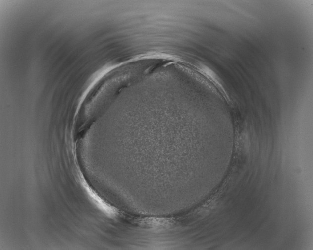 X0000080791092200701051347
