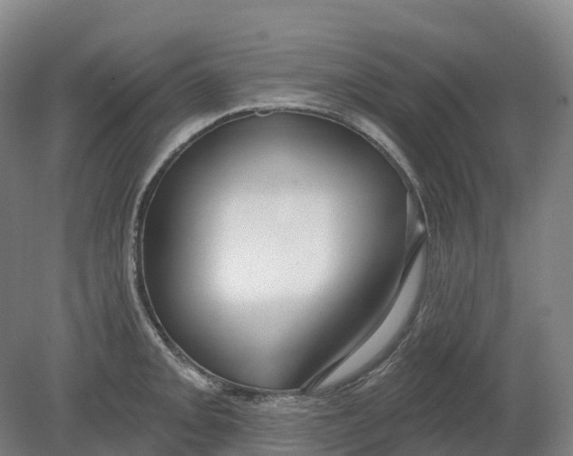 X0000080791093200701051347