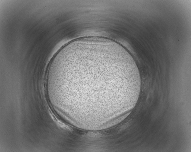 X0000080791094200701051347