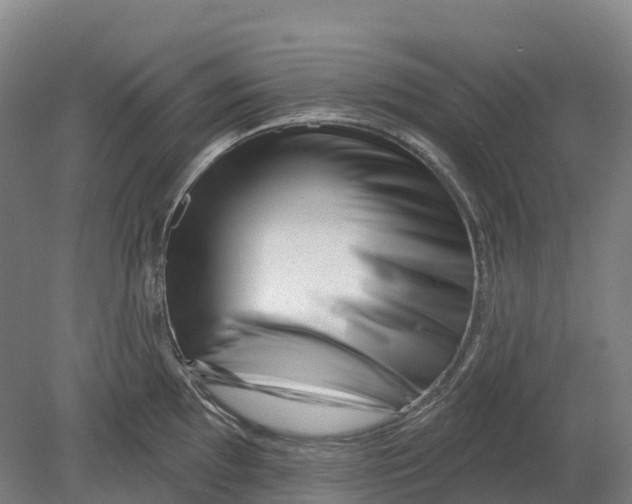 X0000080791097200701051347