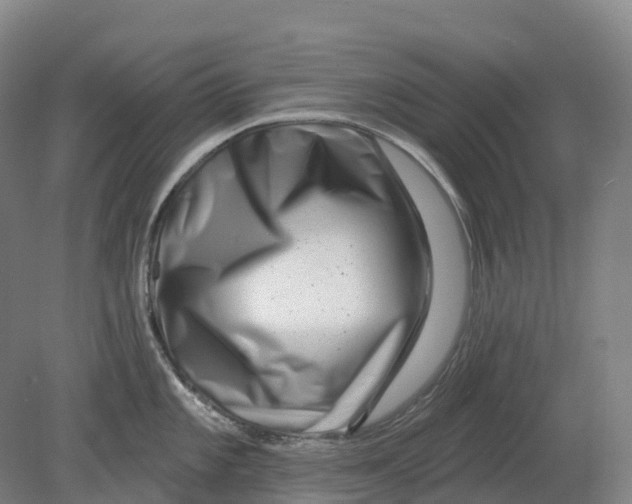 X0000080791101200701051347