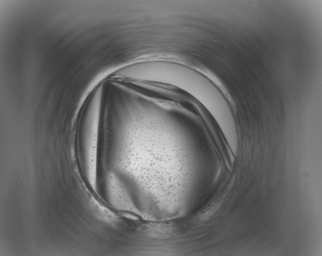 X0000080791102200701051347
