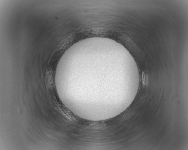 X0000080791107200701051346
