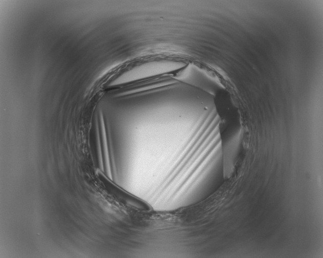 X0000080791112200701051346