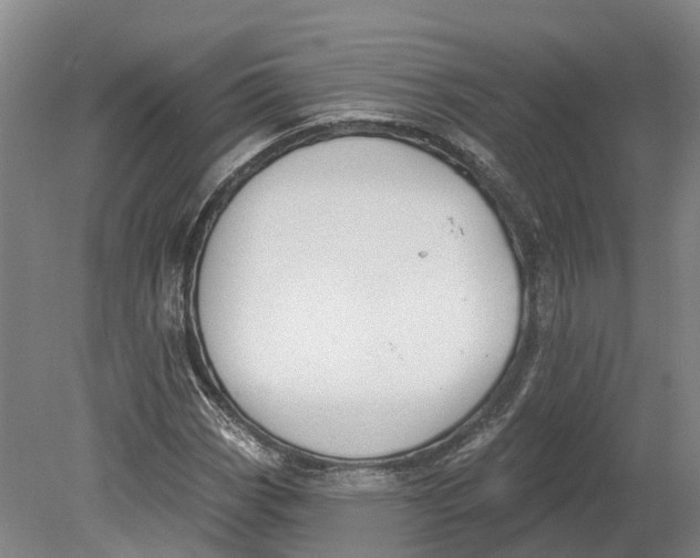 X0000080791113200701051346