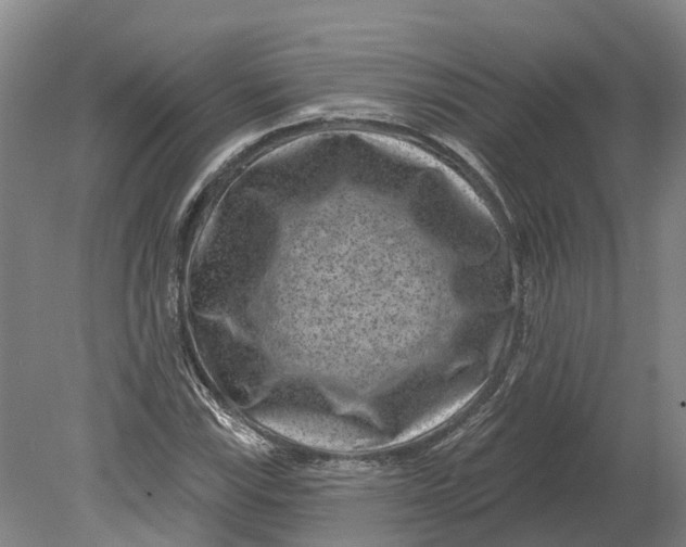 X0000080791115200701051346
