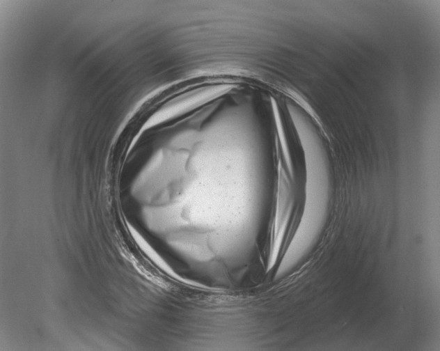 X0000080791116200701051346