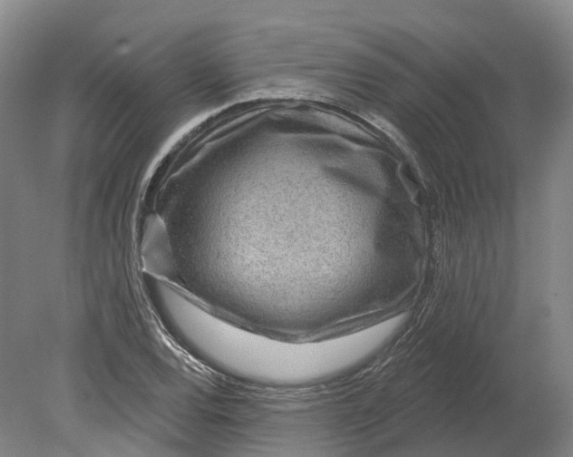 X0000080791120200701051346
