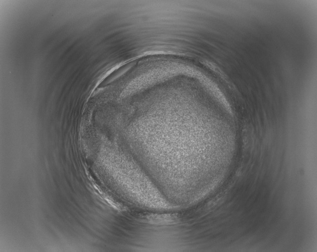 X0000080791121200701051346