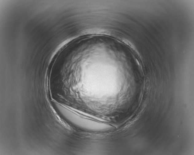 X0000080791125200701051346