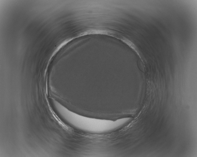 X0000080791127200701051346