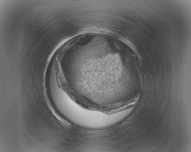 X0000080791128200701051346