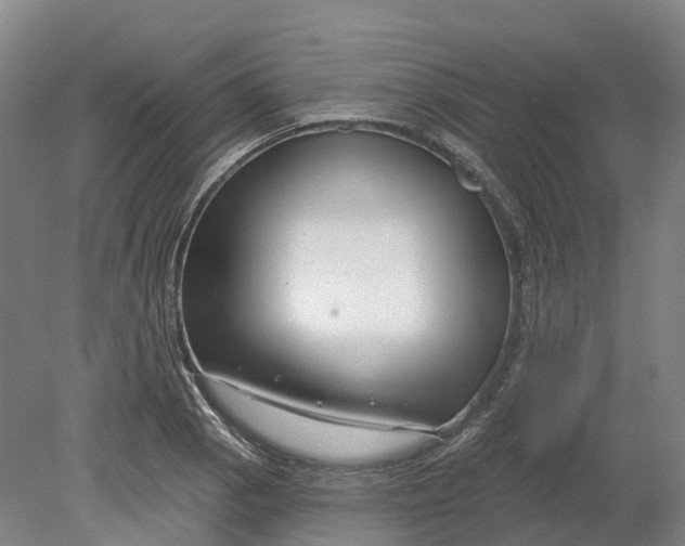X0000080791129200701051346