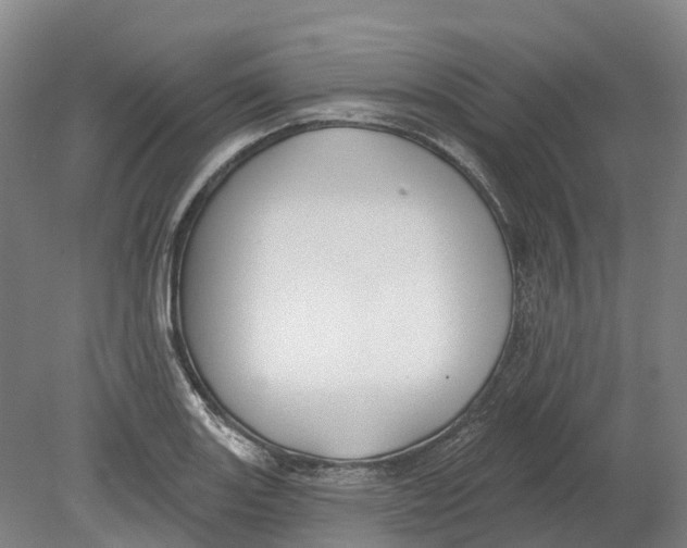 X0000080791131200701051346