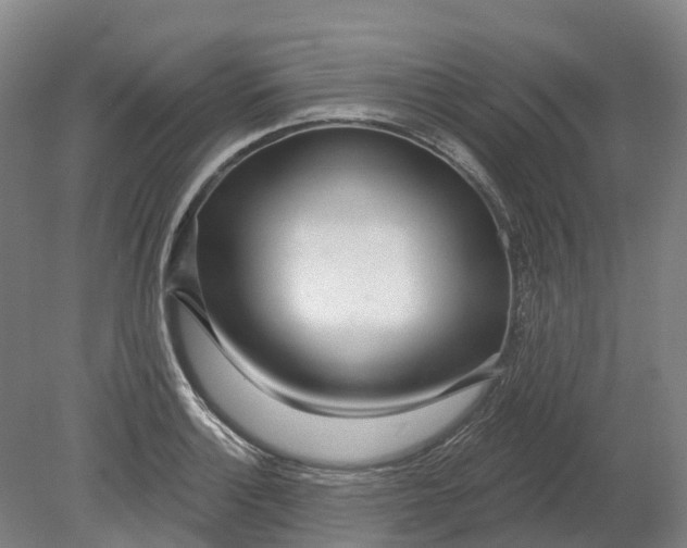 X0000080791132200701051346