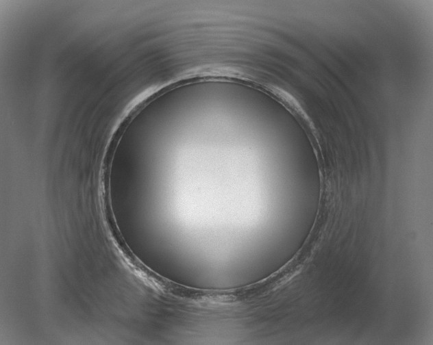 X0000080791133200701051346