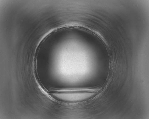 X0000080791134200701051347