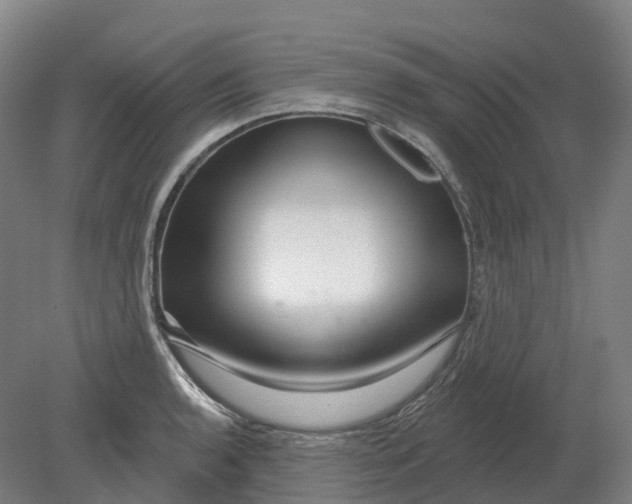 X0000080791136200701051347