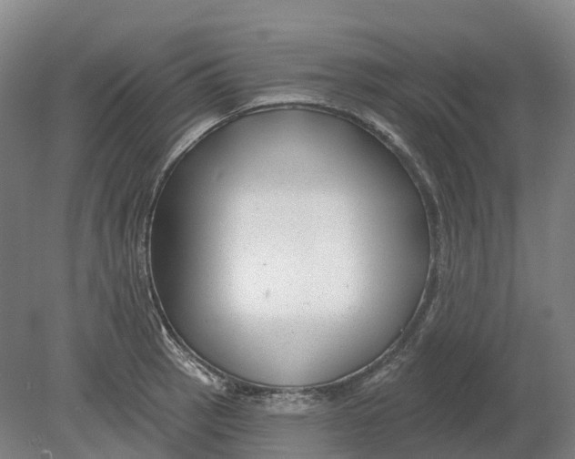 X0000080791137200701051347