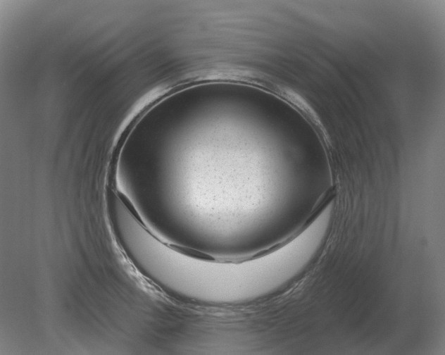 X0000080791138200701051347