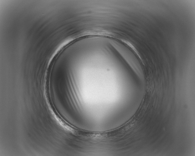 X0000080791139200701051347