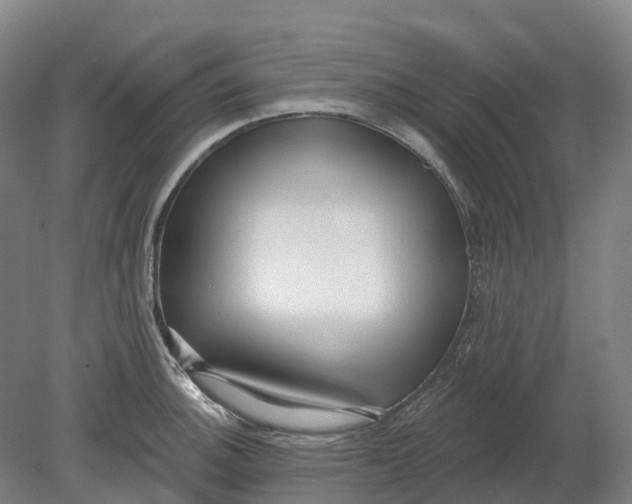 X0000080791140200701051347