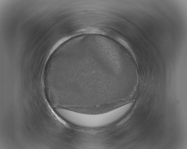 X0000080791141200701051347