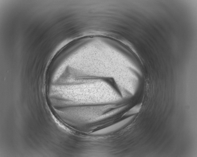 X0000080791143200701051347