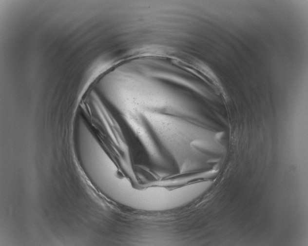 X0000080791146200701051347