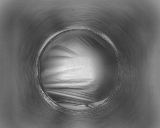 X0000080791148200701051347
