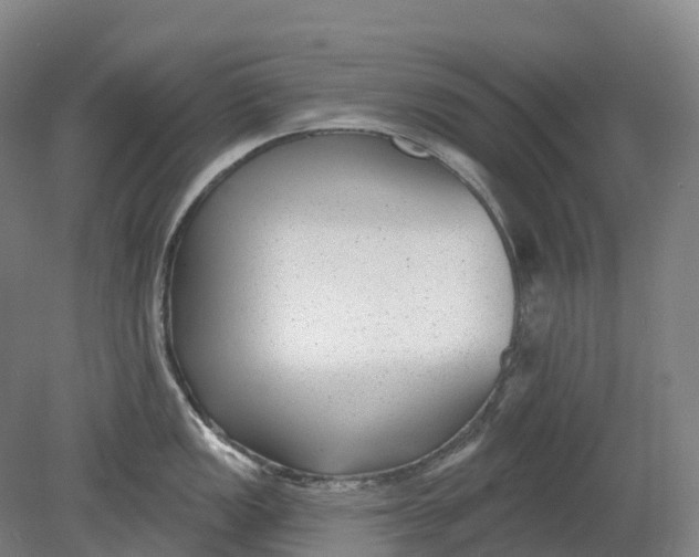 X0000080791149200701051347