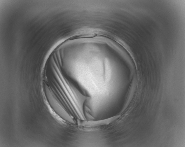 X0000080791152200701051347