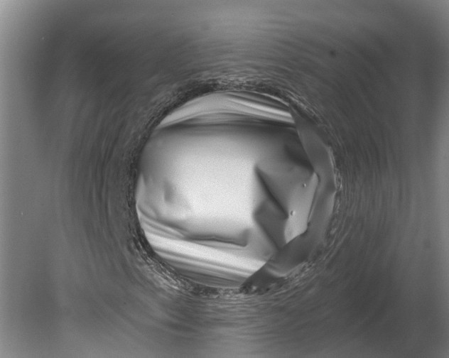 X0000080791153200701051346