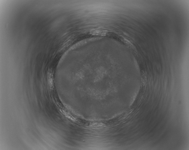 X0000080791154200701051346