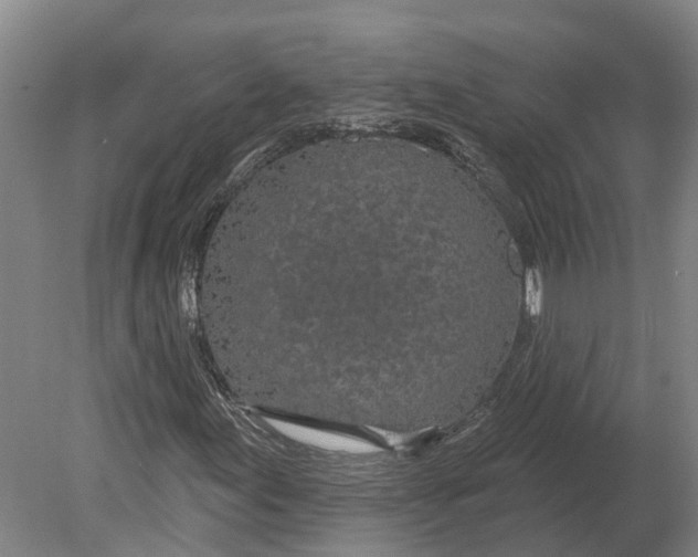 X0000080791155200701051346