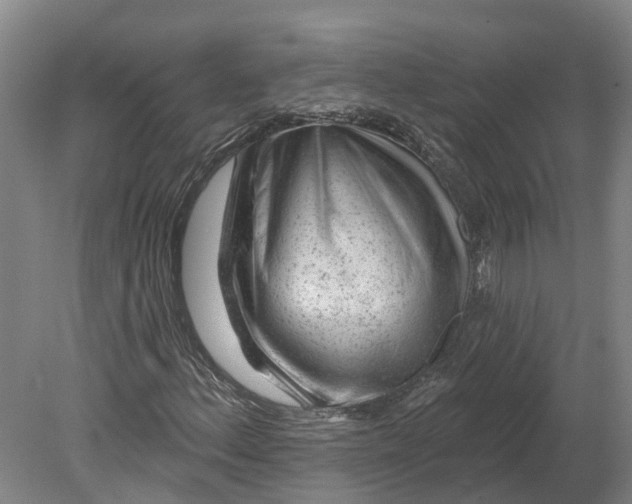 X0000080791156200701051346