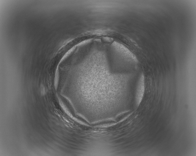 X0000080791158200701051346