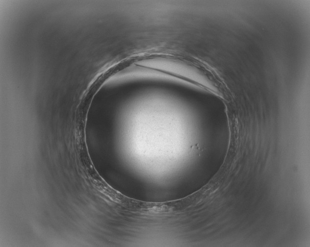 X0000080791160200701051346