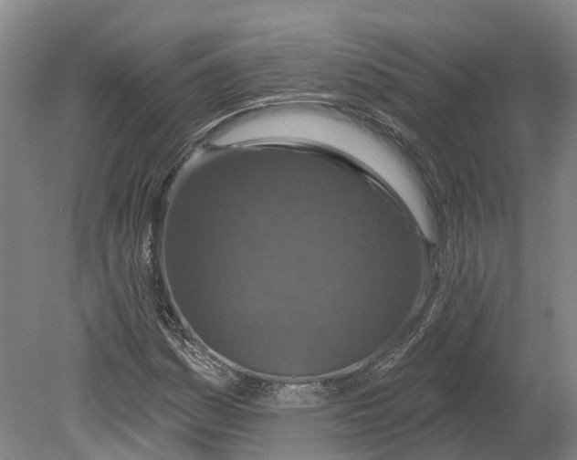 X0000080791161200701051346