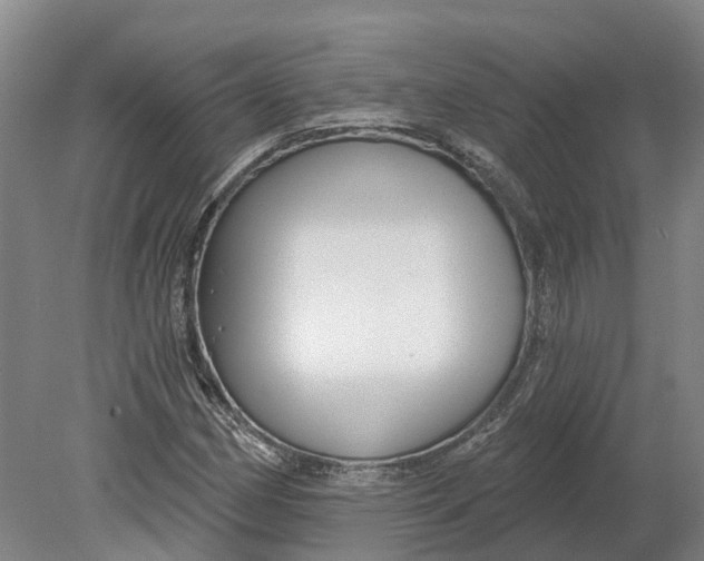 X0000080791162200701051346