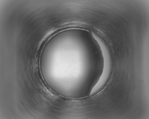 X0000080791164200701051346