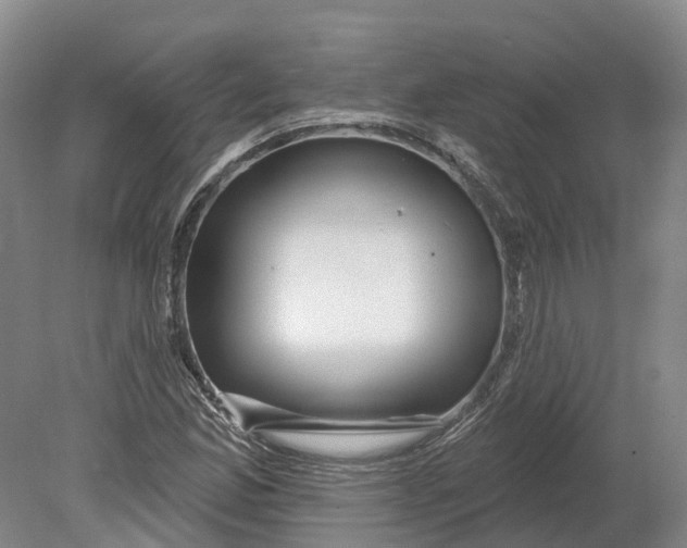 X0000080791165200701051346