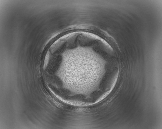 X0000080791166200701051346