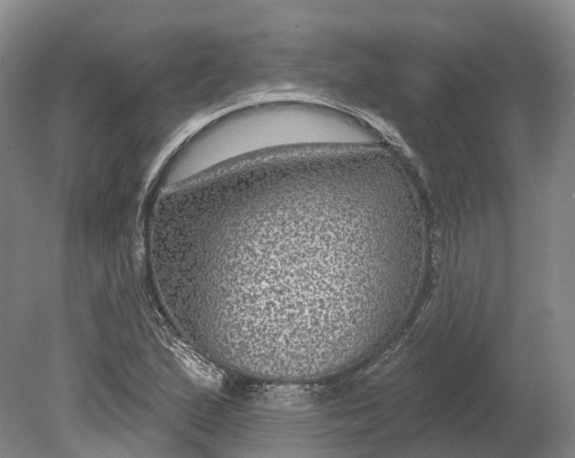 X0000080791167200701051346