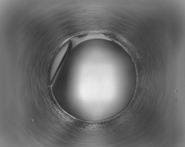 X0000080791169200701051346