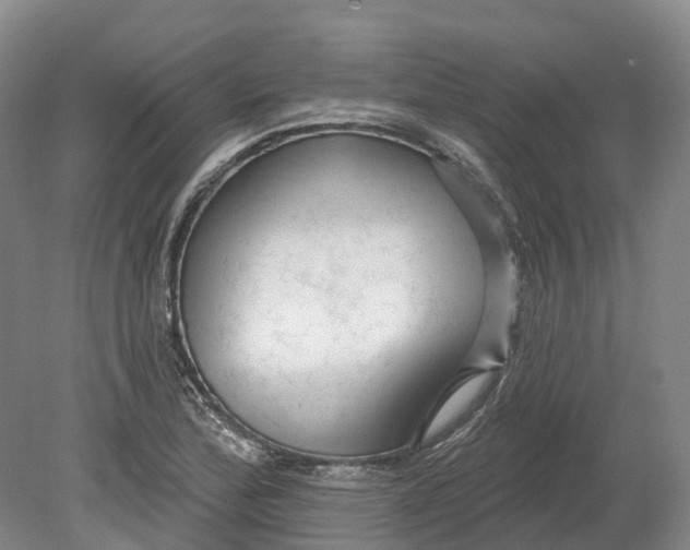 X0000080791172200701051346