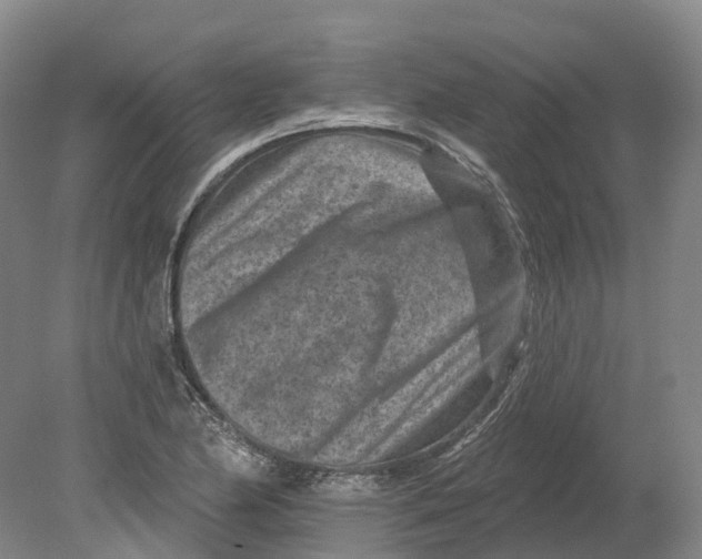 X0000080791174200701051346